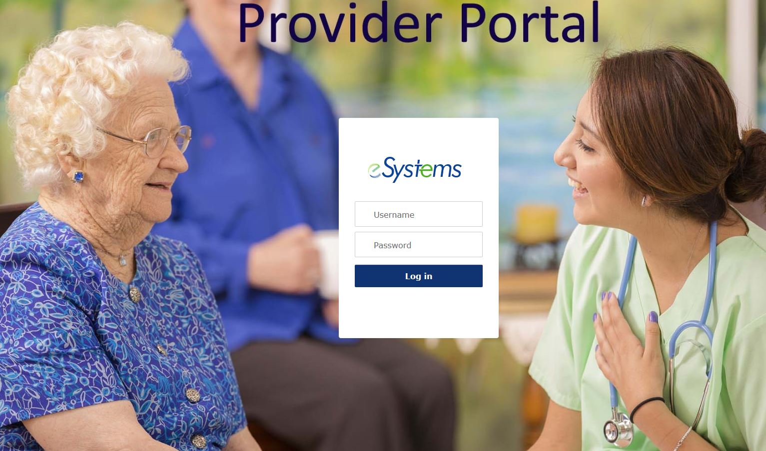 eSystems Public Sector Consulting