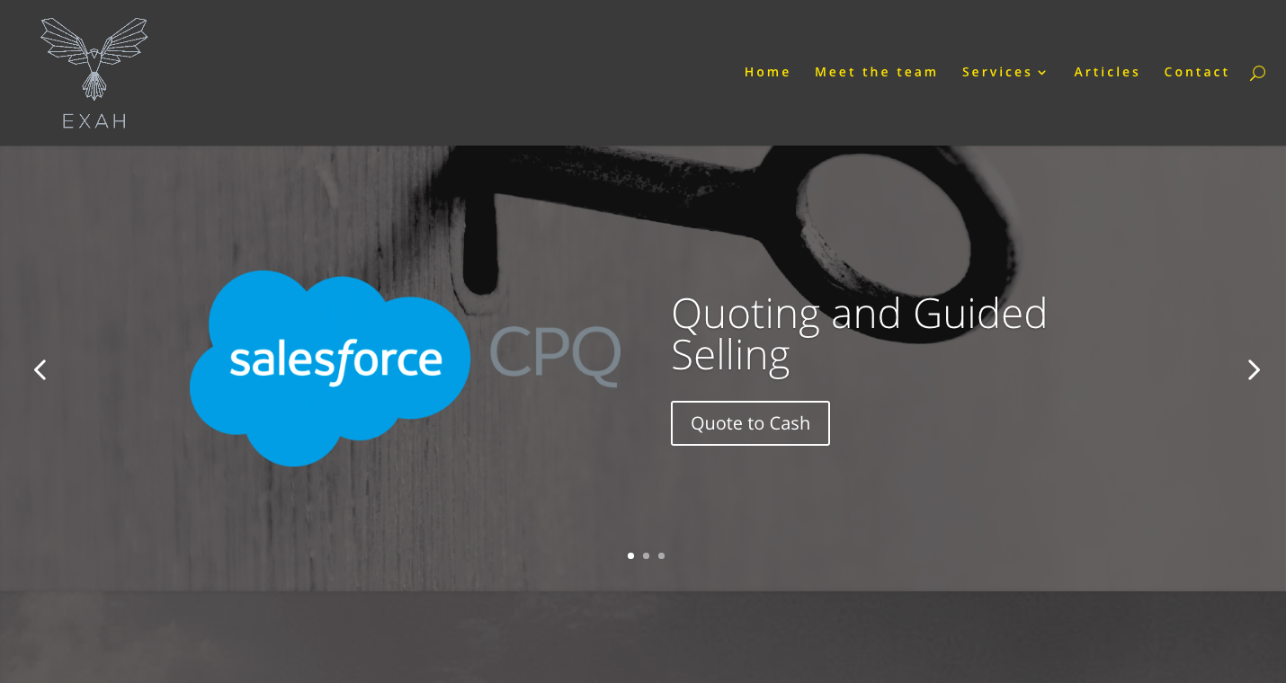 EXAH Consulting Partner