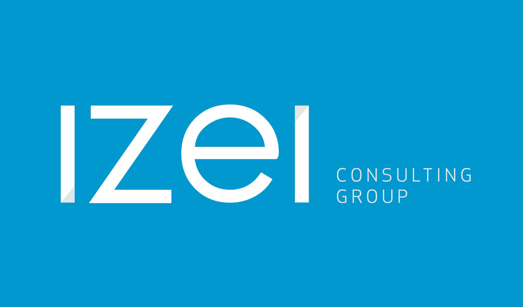 IZEI Consulting Group