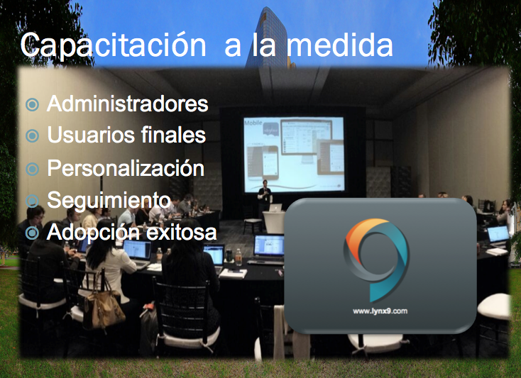 LYNX9 Soluciones México