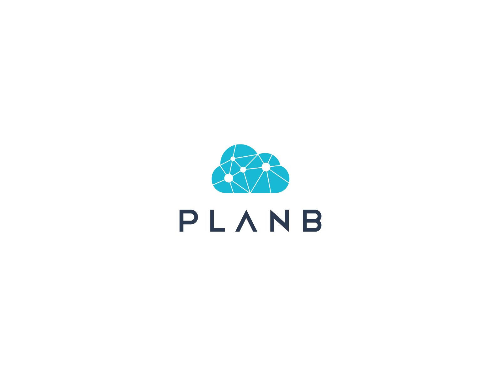Plan B Commerce