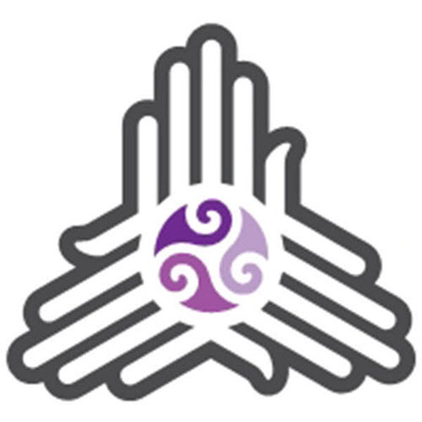 SSTEAM - Success Services Team