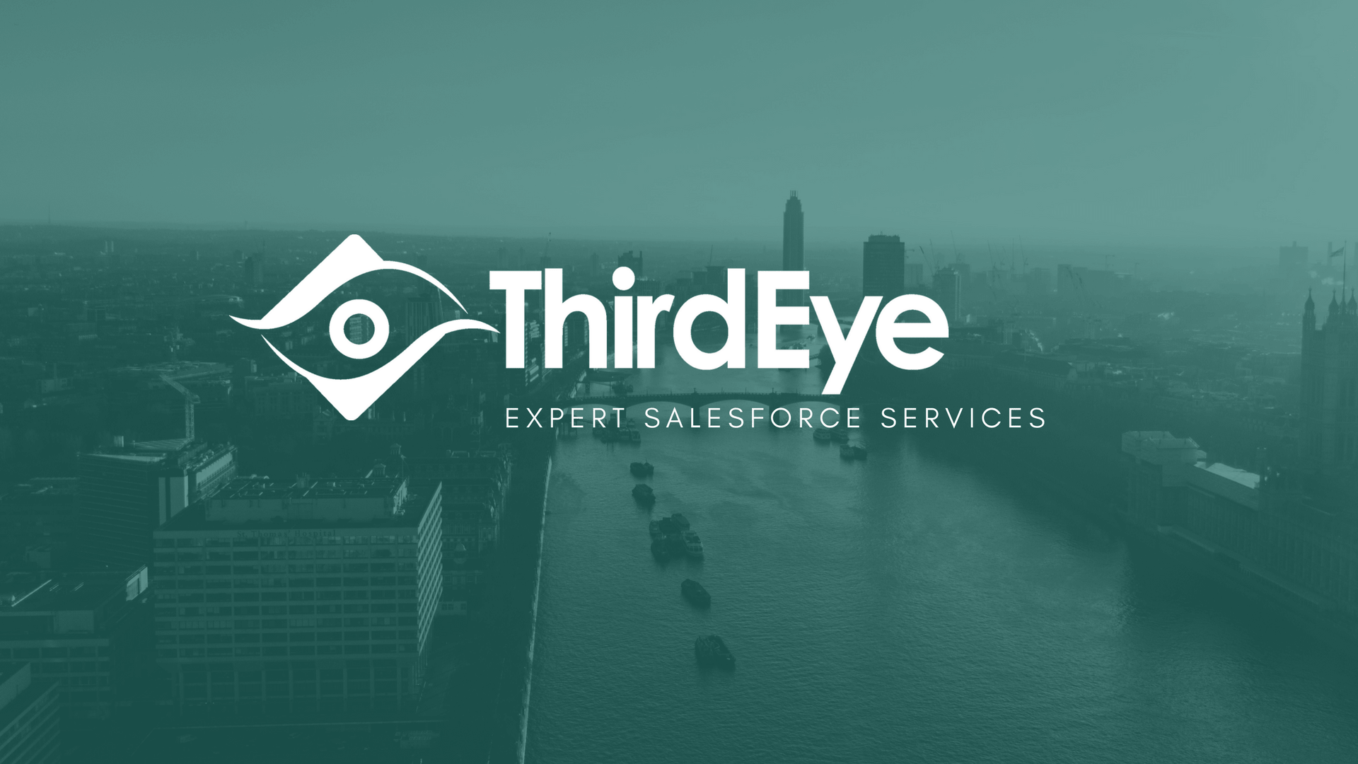 ThirdEye Consulting Services
