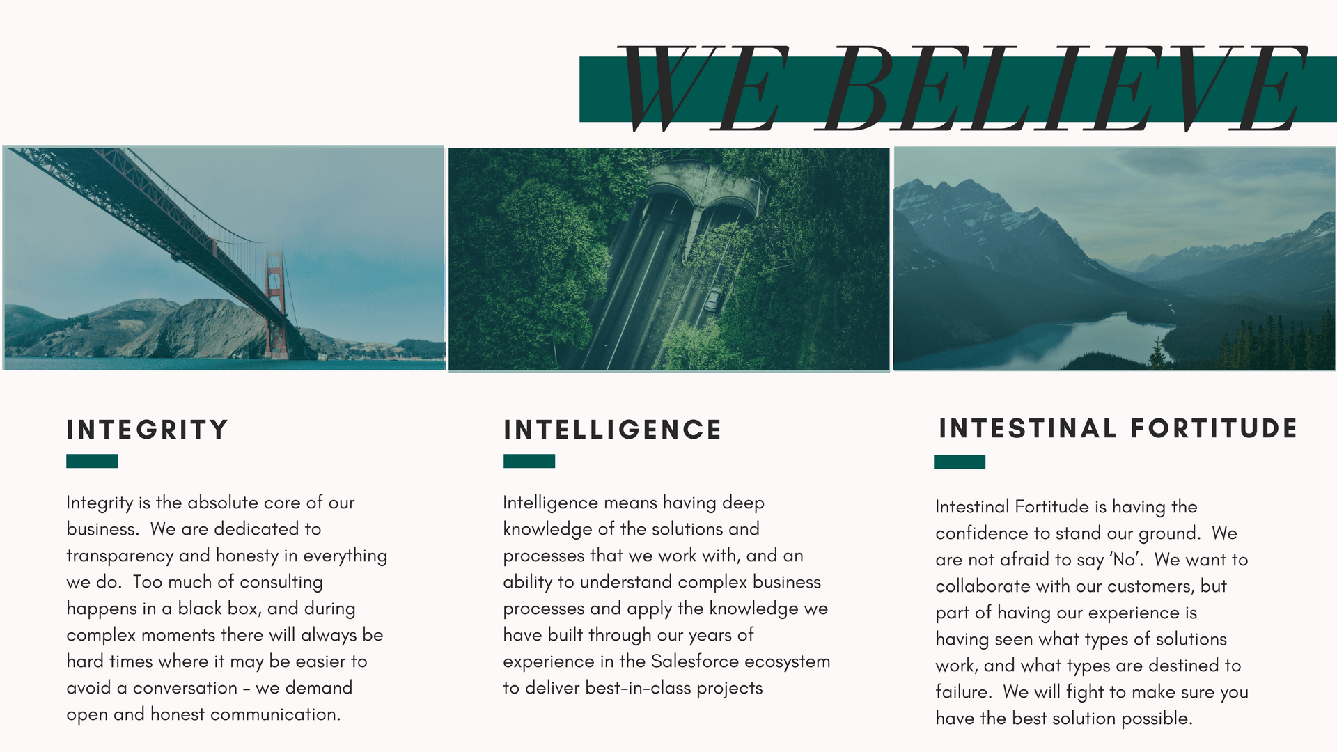 ThirdEye Consulting Services