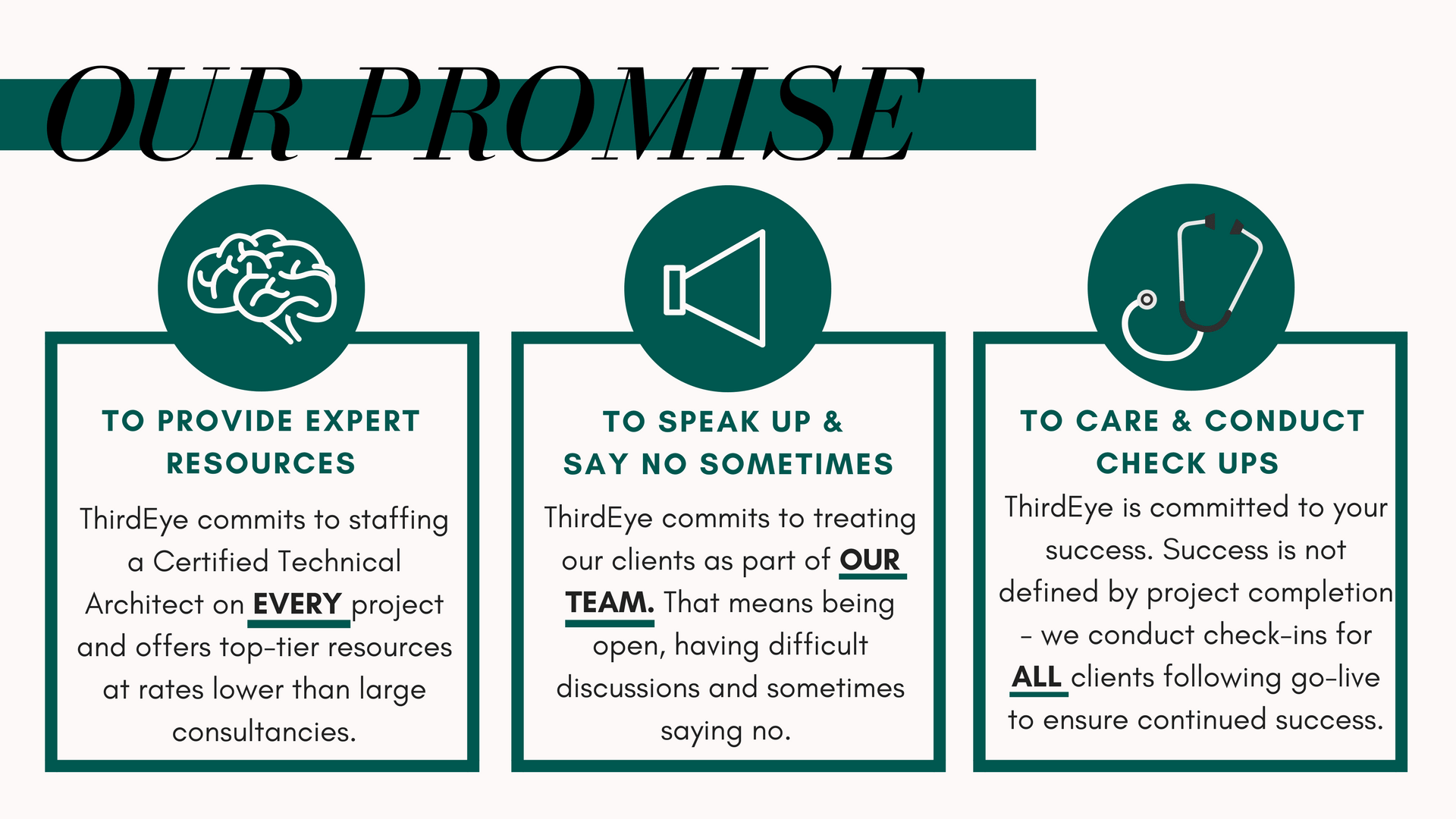 ThirdEye Consulting Services