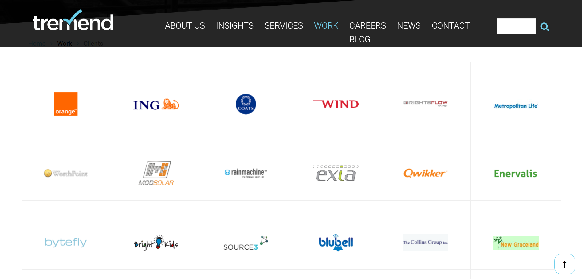 Tremend Software Consulting