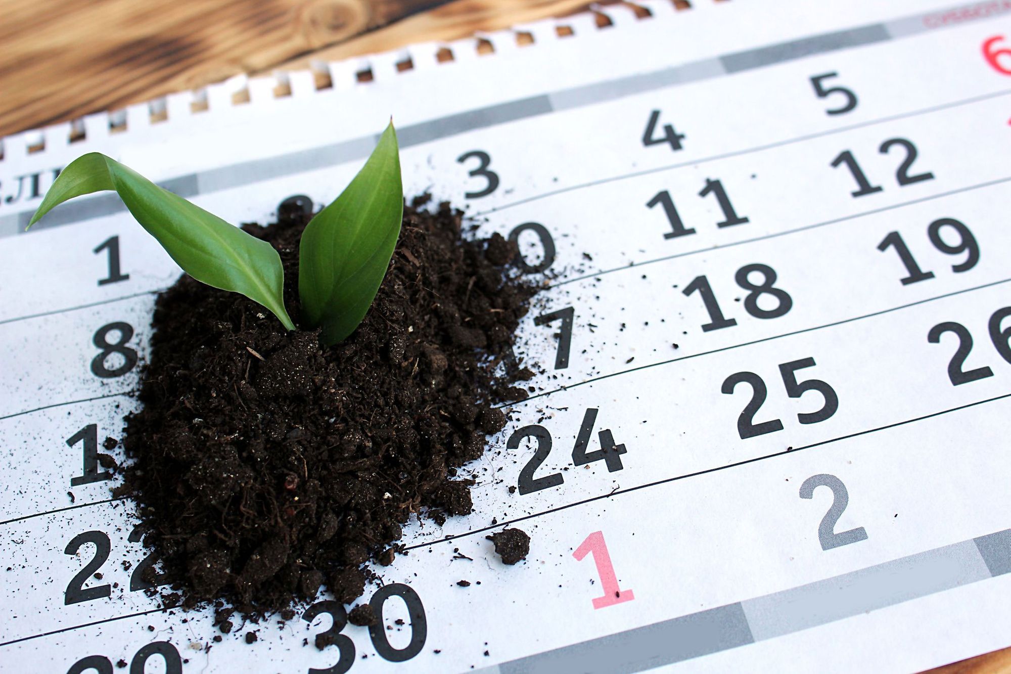 Calendario Agrícola: Una Herramienta Indispensable