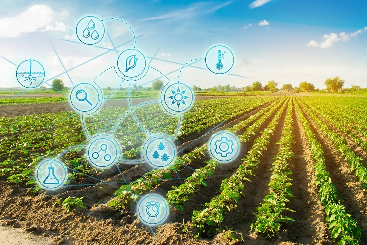 Relación con la Sostenibilidad: Cómo la Sostenibilidad Agrícola Contribuye a la Seguridad Alimentaria