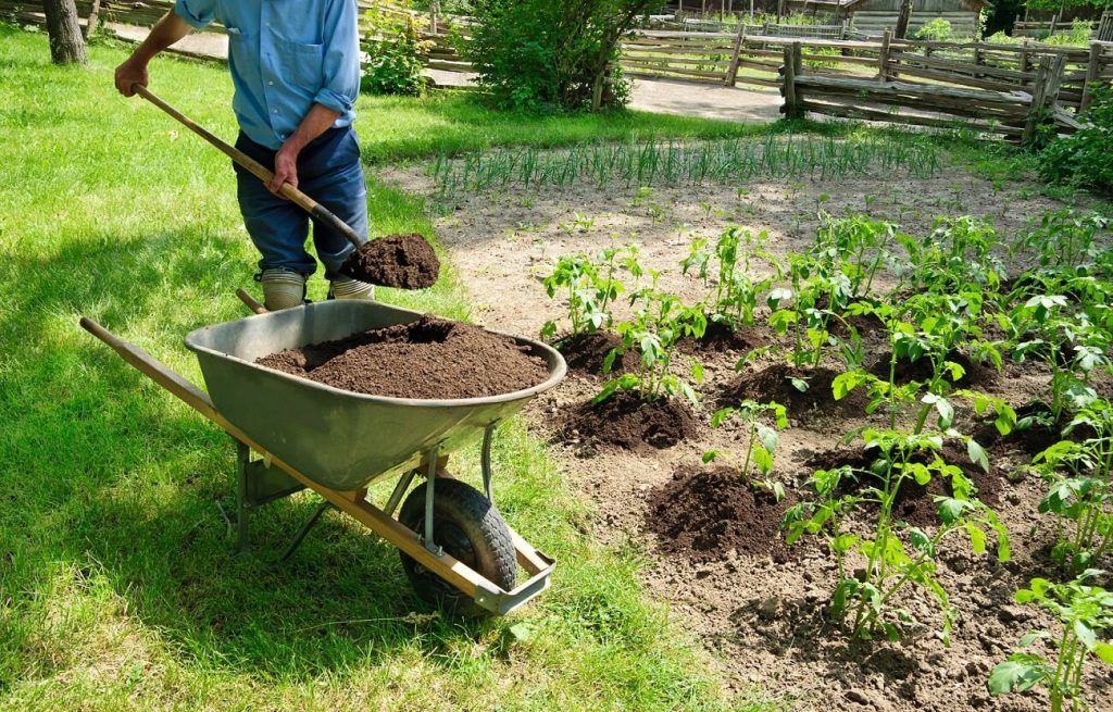 Compost y Estiércol: Ventajas del Uso de Enmiendas Orgánicas para Mejorar la Calidad del Suelo