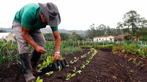 Importancia de las Certificaciones Orgánicas y Sostenibles: Clave para el Futuro del Consumidor y el Medio Ambiente
