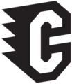 COCLÉ TRAINING CLUB