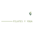 Bambu Studio