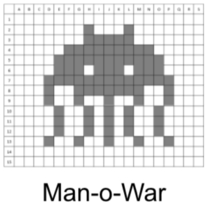 Man-o-War.jpg