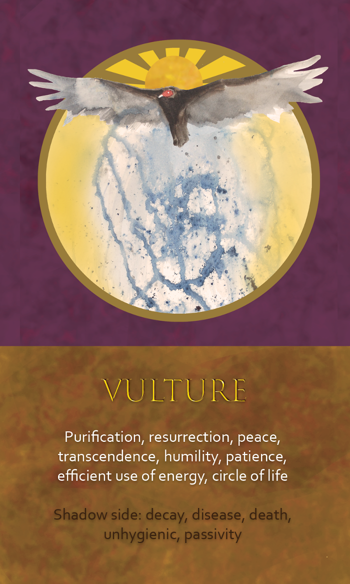 10-Spirit-Animal-oracle-card-Vulture.png