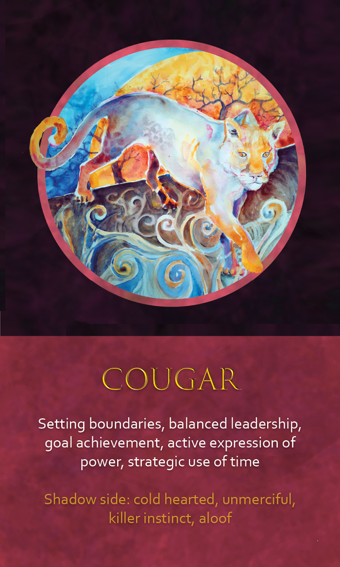 15-spirit-animal-oracle-card-cougar.png