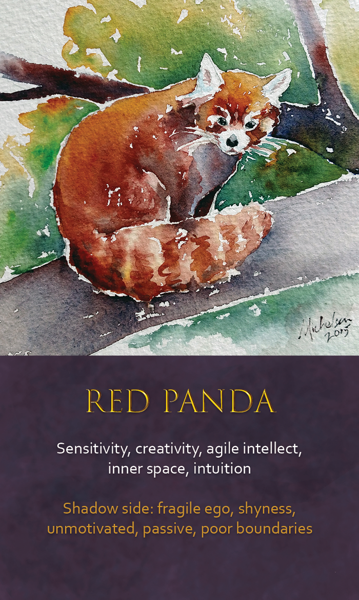 18-Spirit-animal-oracle-card-Red-Panda.png