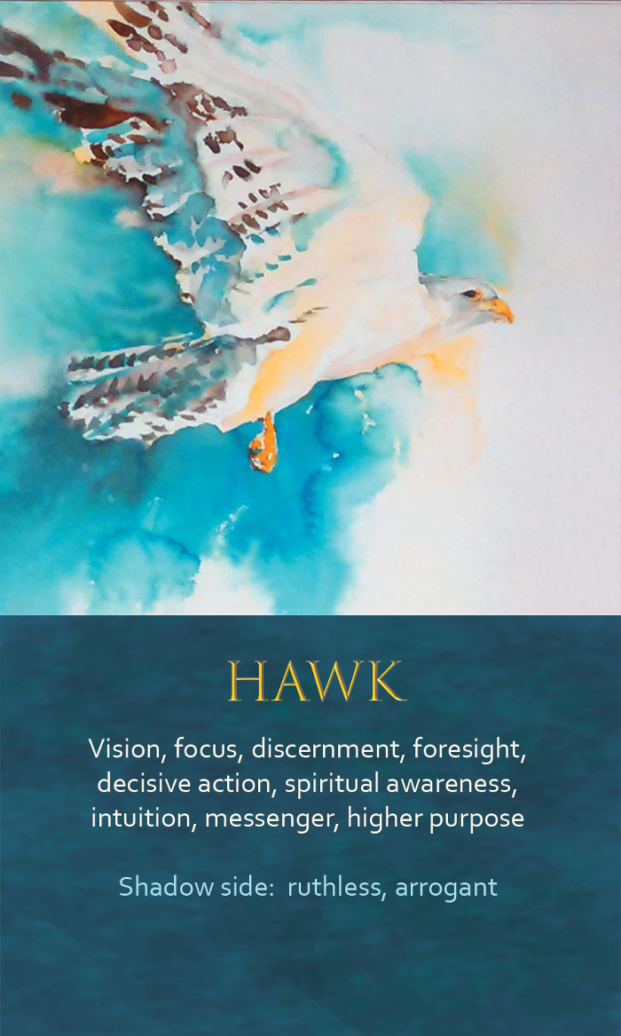 2-Spirit-Animal-Oracle-Card-Hawk.png