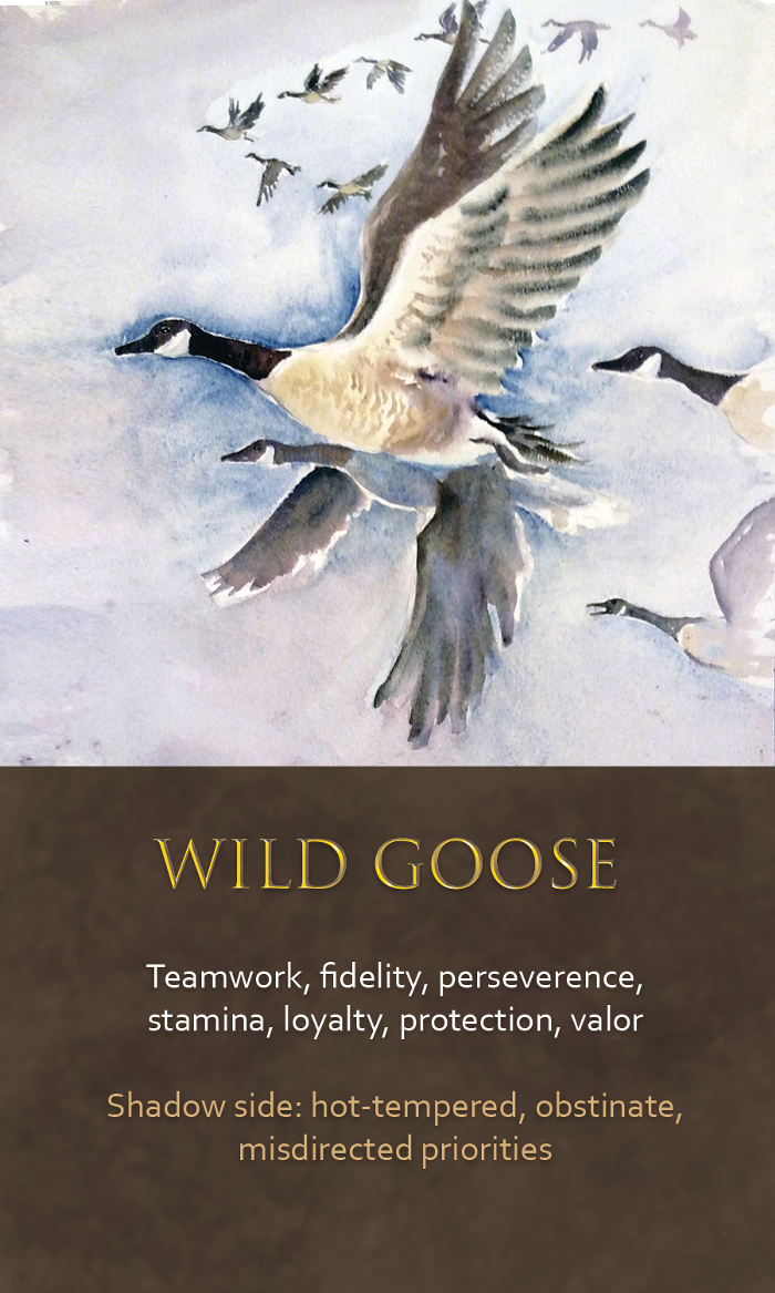 23-spirit-animal-oracle-card-Wild-goose.png