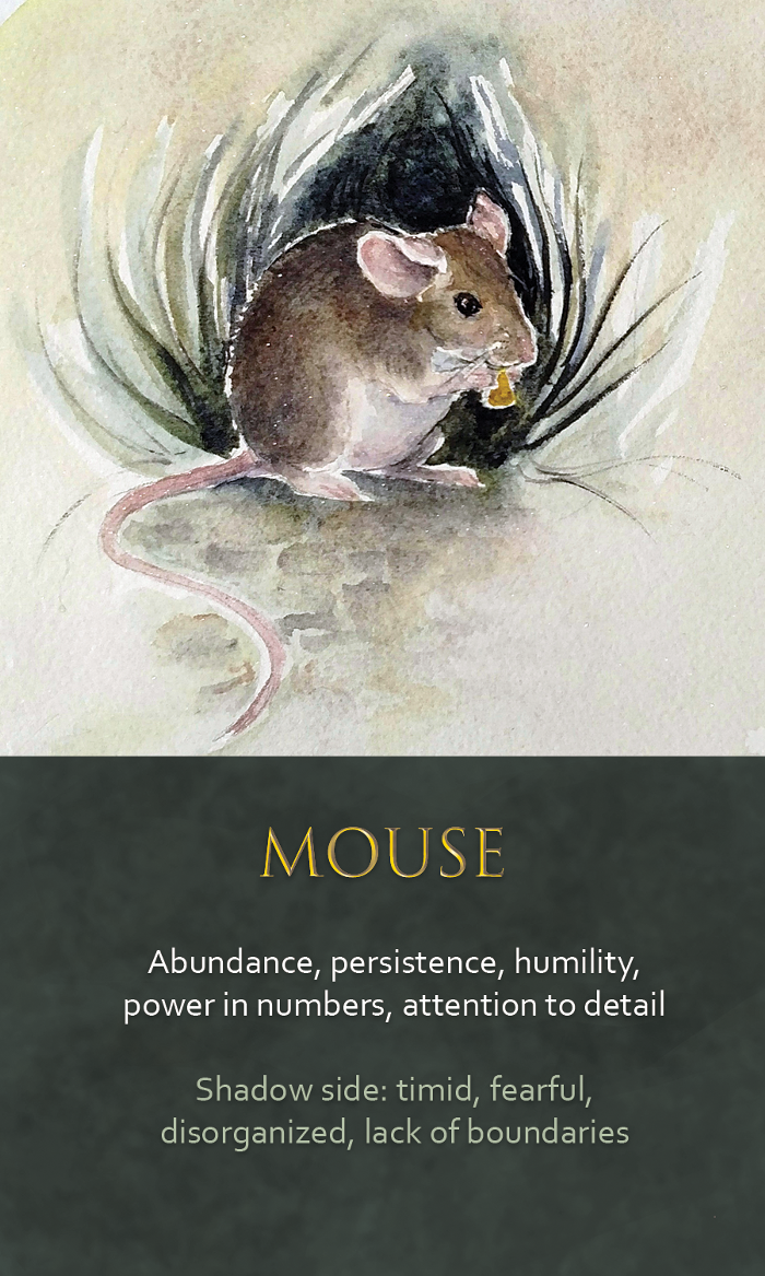 24-spirit-animal-oracle-card-Mouse.png