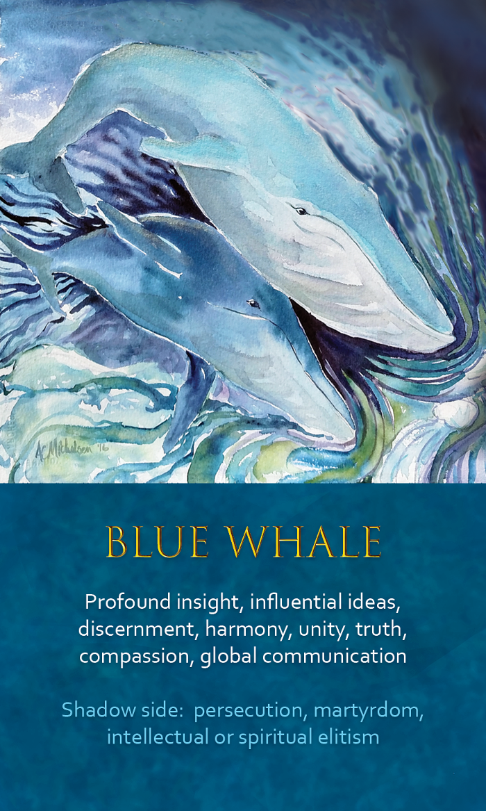 29-Spirit-Animal-Oracle-Card-Blue-Whale.png