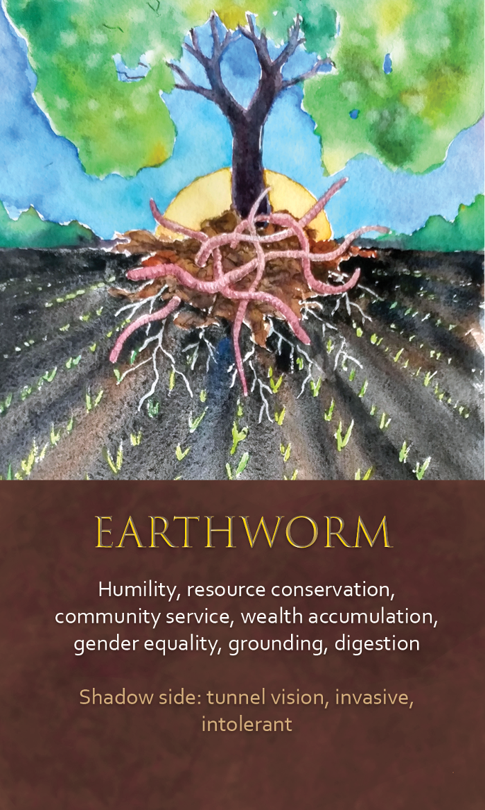 32-spirit-animal-oracle-card-Earthworm.png