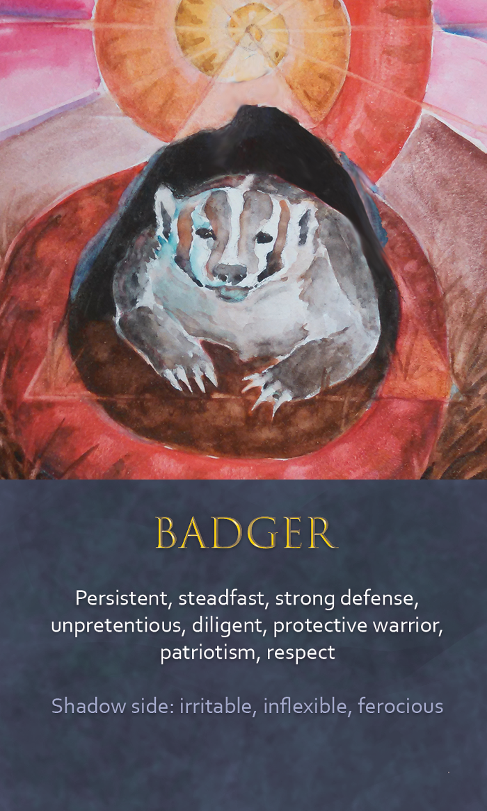 33-spirit-animal-oracle-card-Badger.png