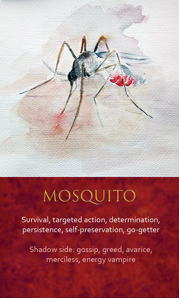 35-spirit-animal-oracle-card-Mosquito.png