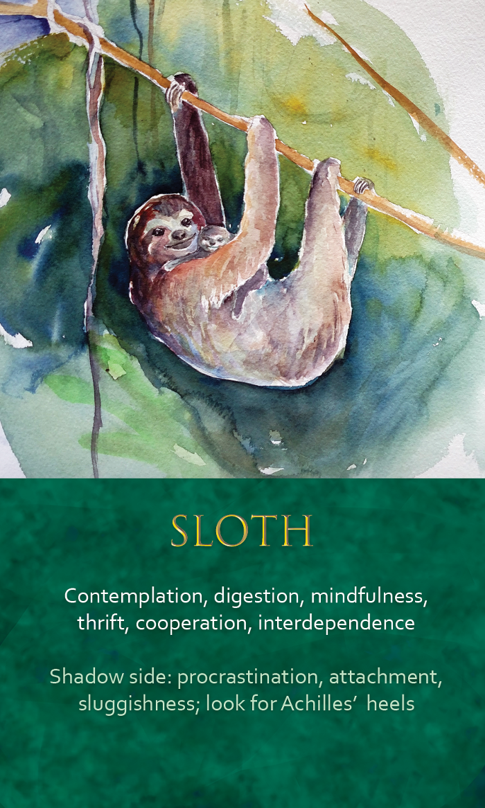 36-spirit-animal-oracle-card-Sloth.png