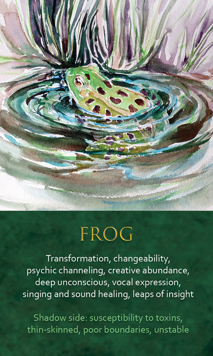 38-Spirit-Animal-oracle-card-Frog.png