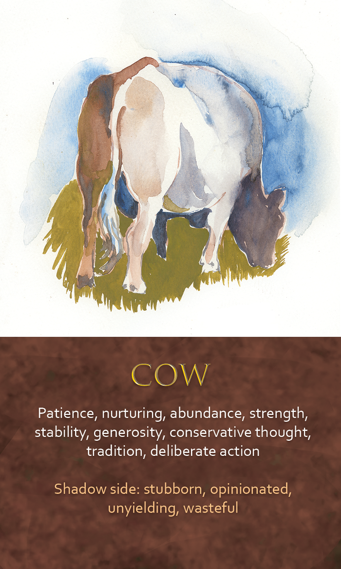 39-spirit-animal-oracle-card-Cow.png