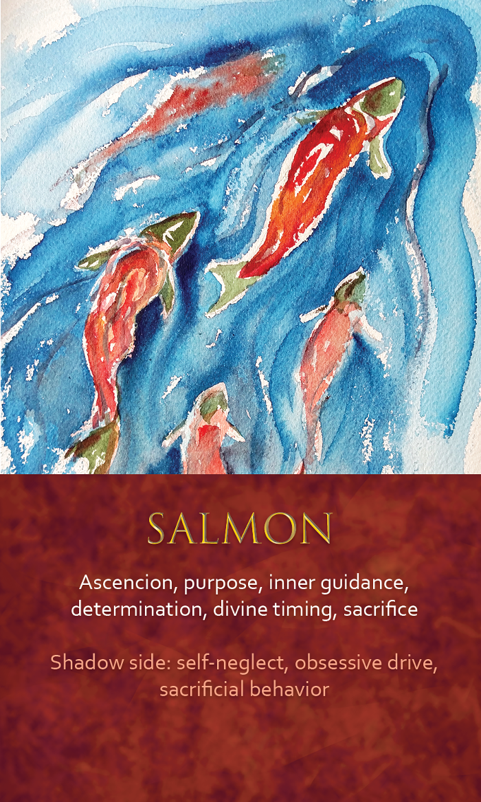 42-spirit-animal-oracle-card-Salmon.png