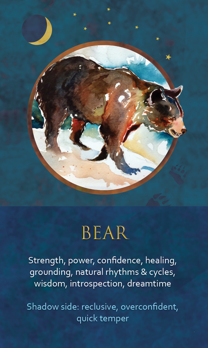 8-Spirit-Animal-Oracle-Card-Bear.png