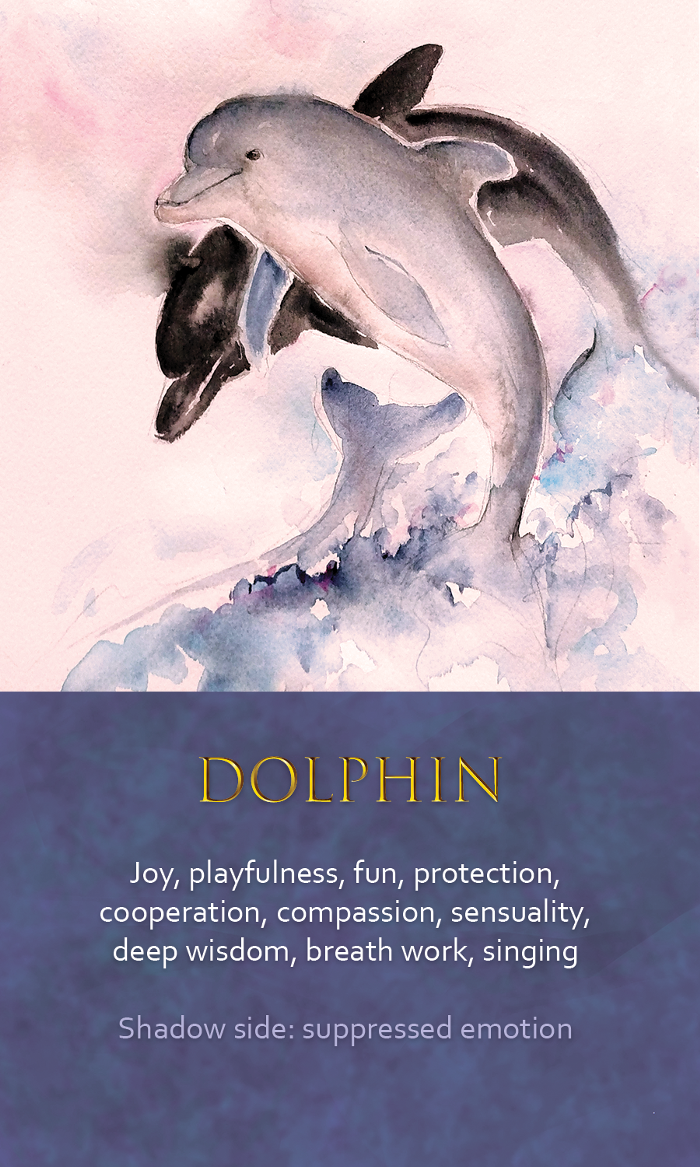 9-Spirit-Animal-oracle-card-Dolphin.png