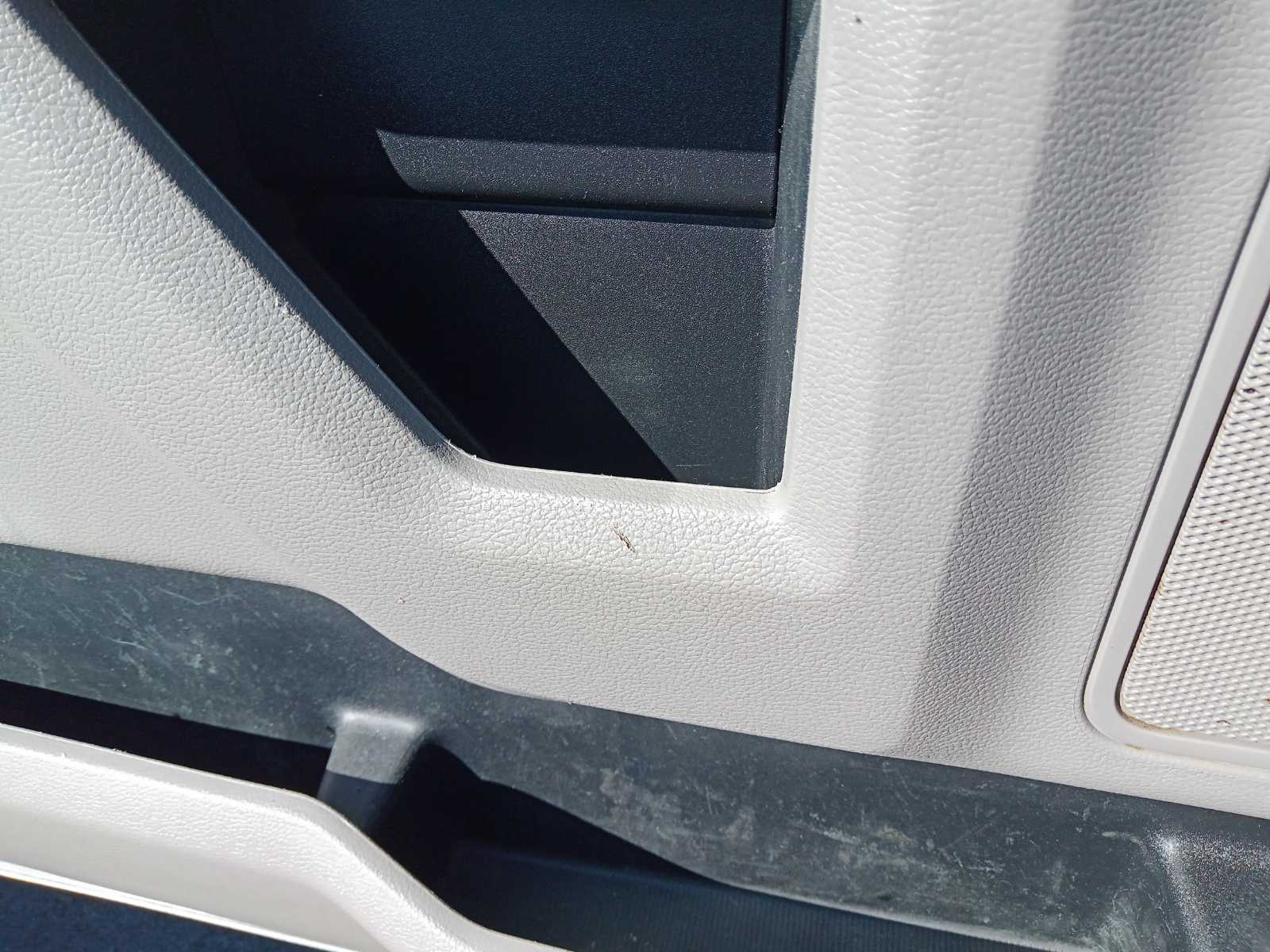 LF Door Weather Strip (Torn)