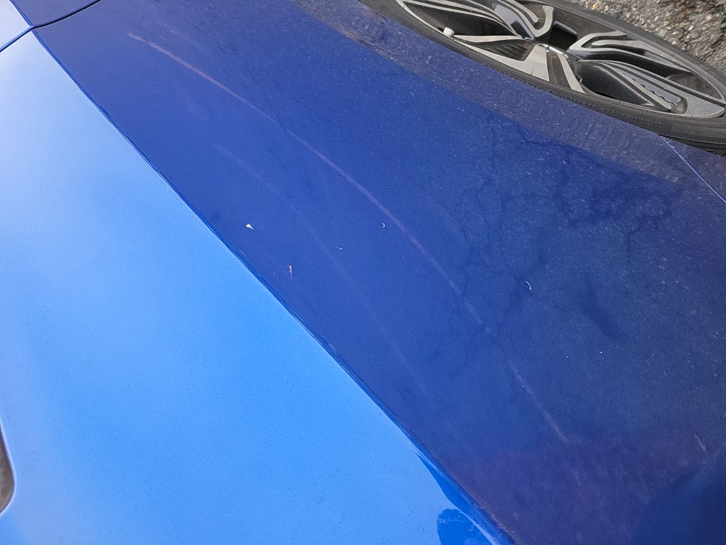 RF Fender (Dent/Paint Dmg)