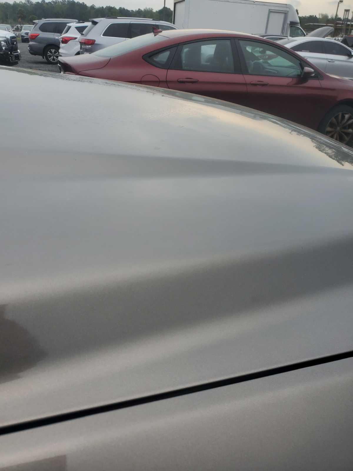 L Qtr Panel (Chipped)