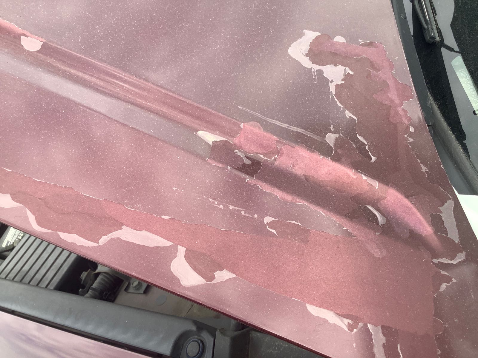 LF Wheel (Curb Rash)