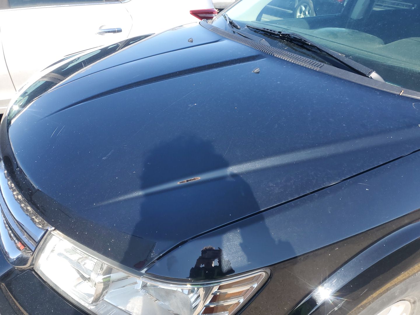 L Qtr Panel (Repainted)