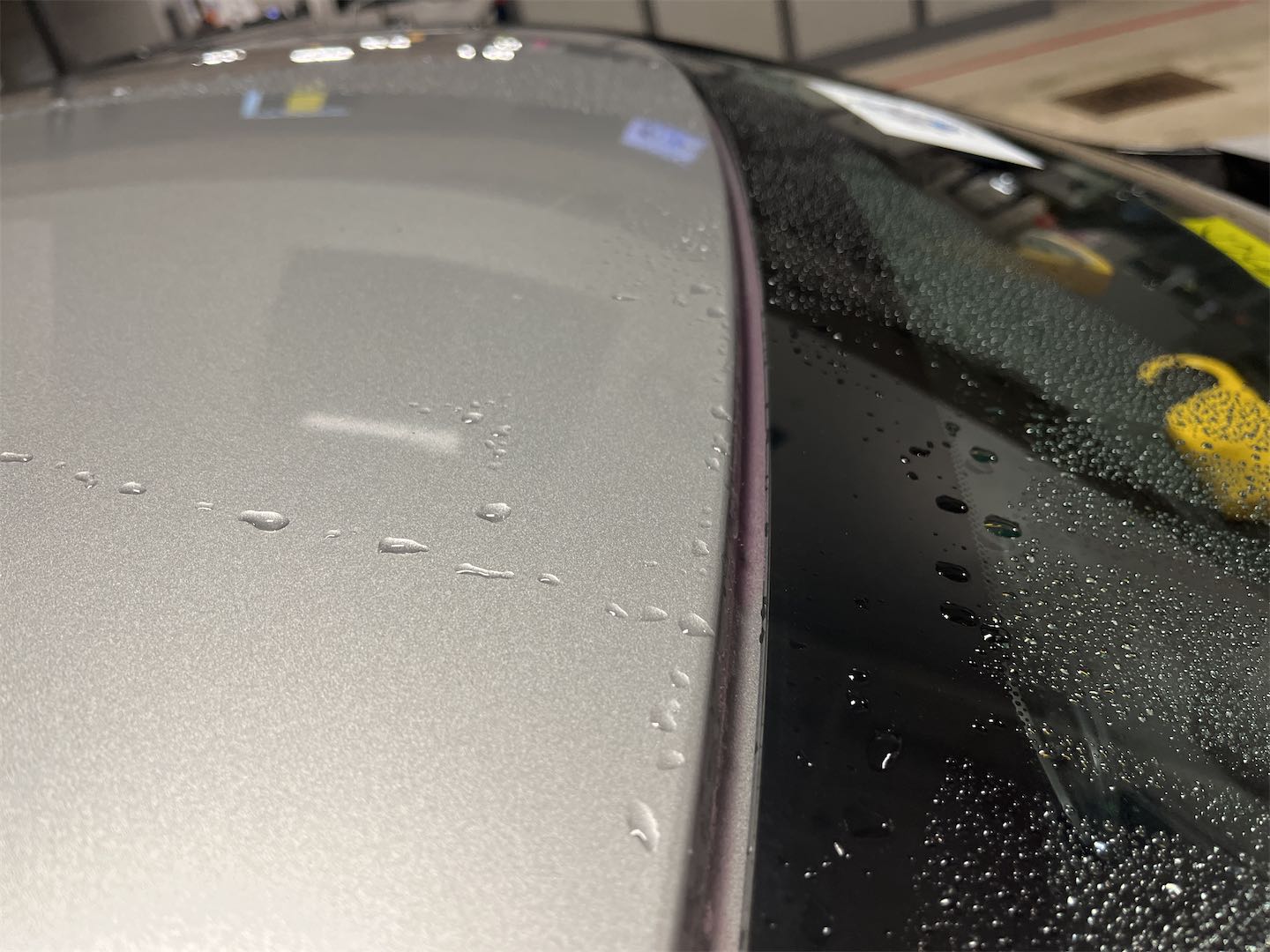 Windshield Molding (Gouged)