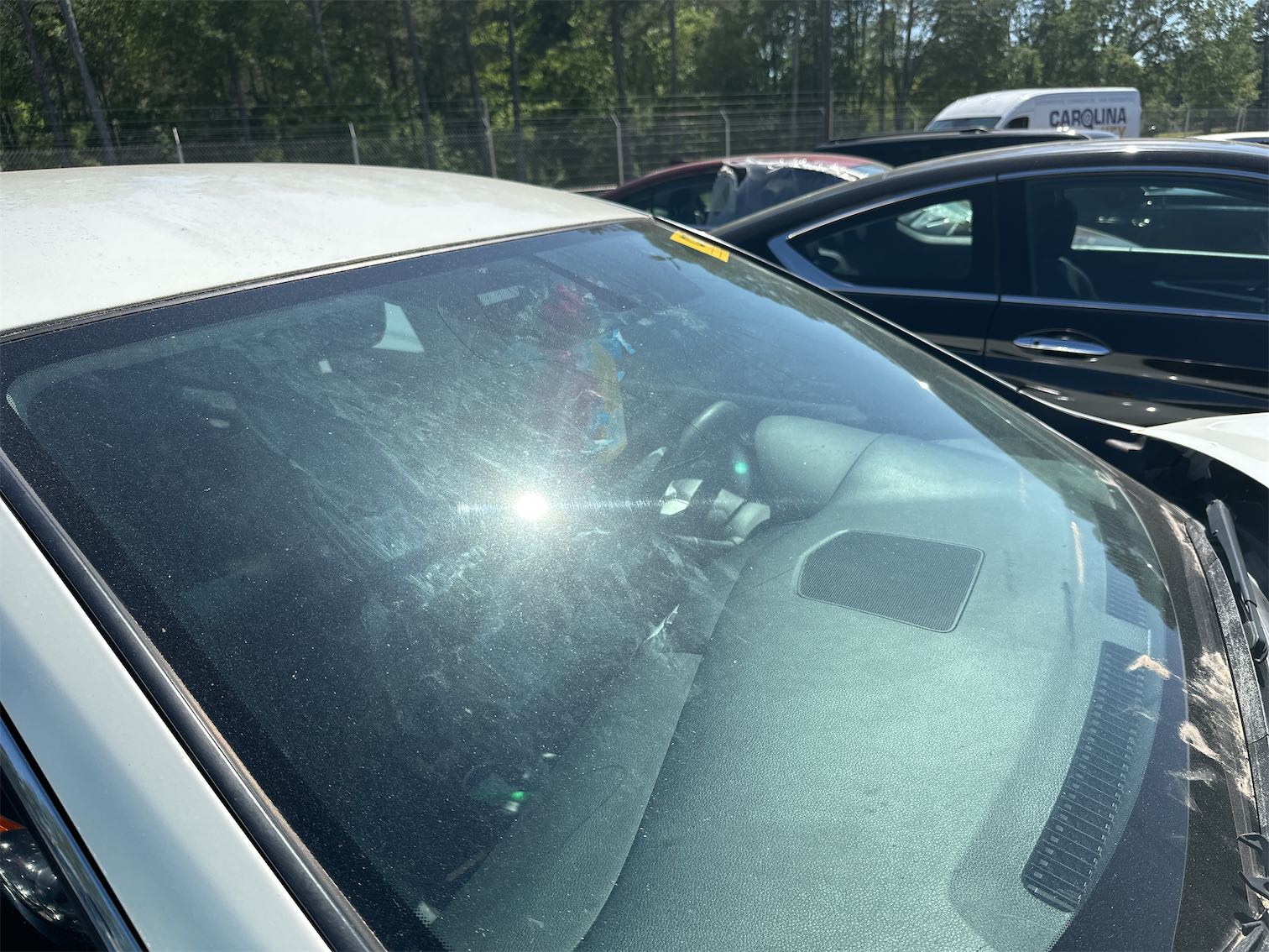 LF Fender Liner (Broken)