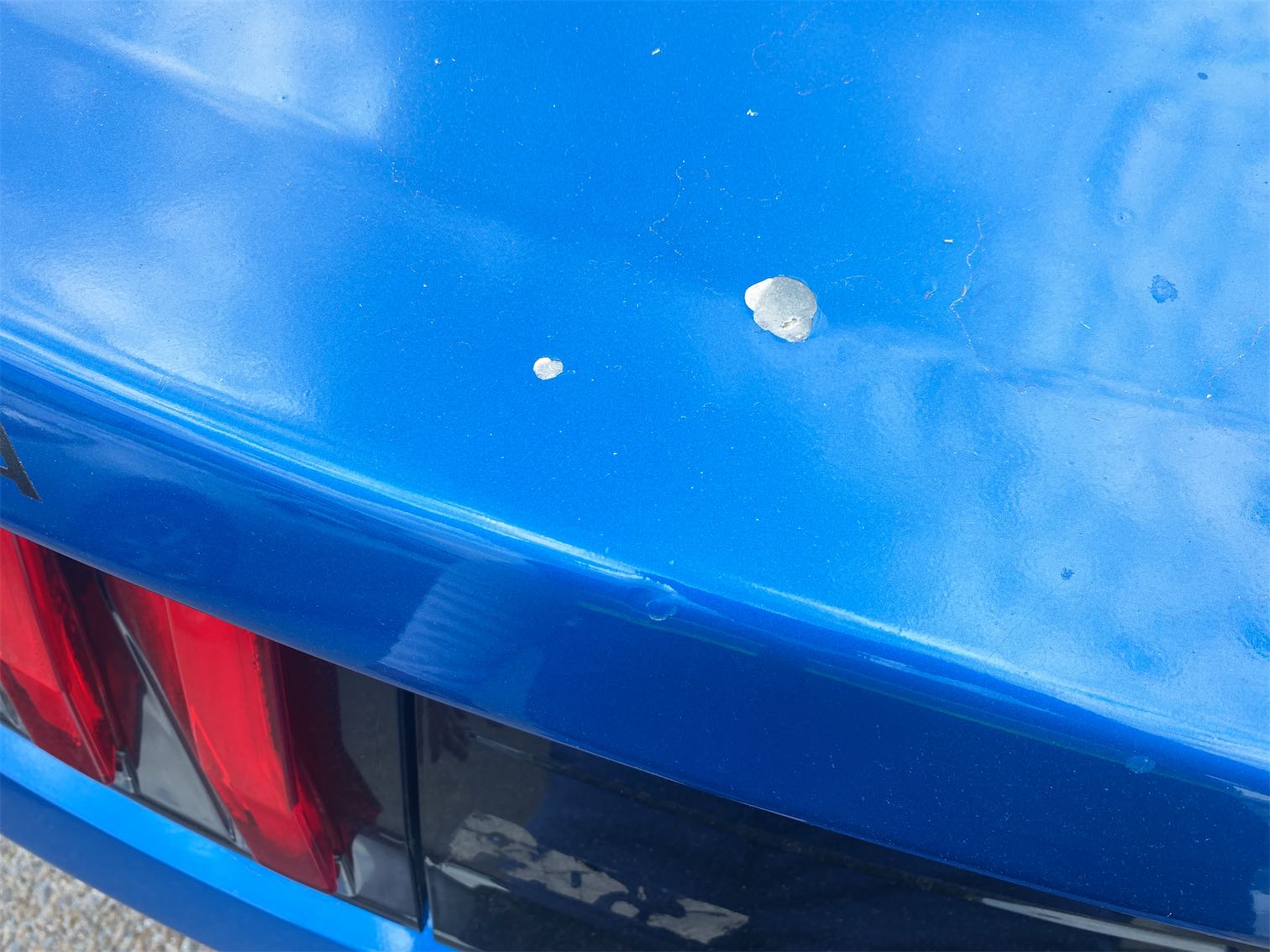 L Qtr Panel (Chipped)