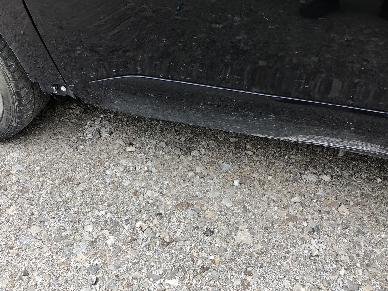 LF Fender (Broken)