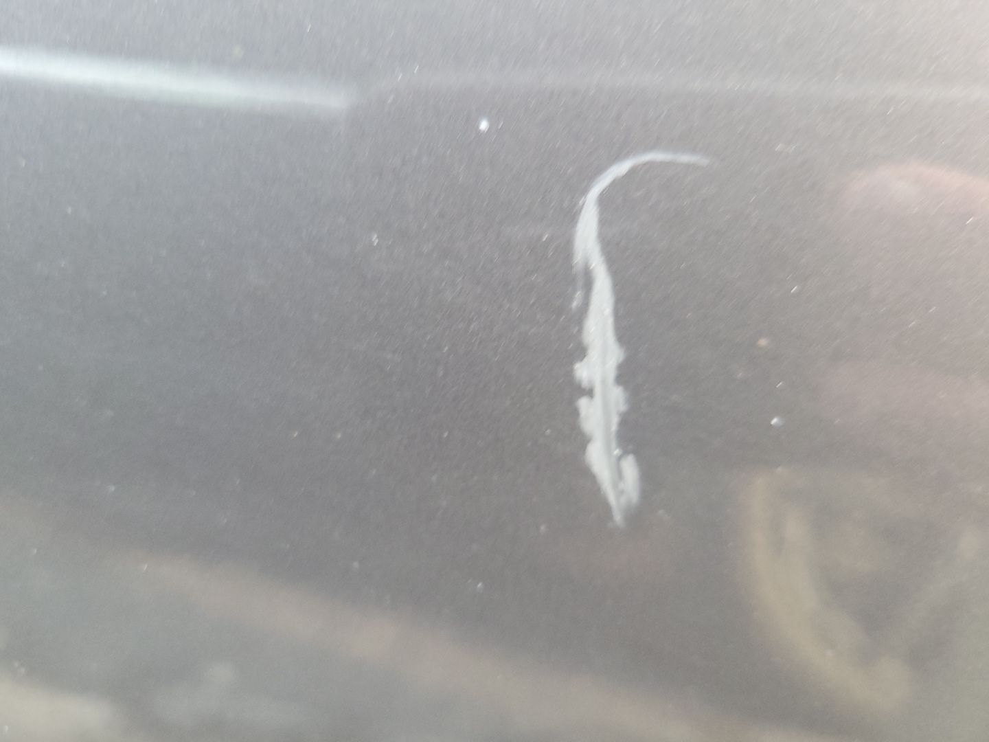 RF Fender Liner (Missing)