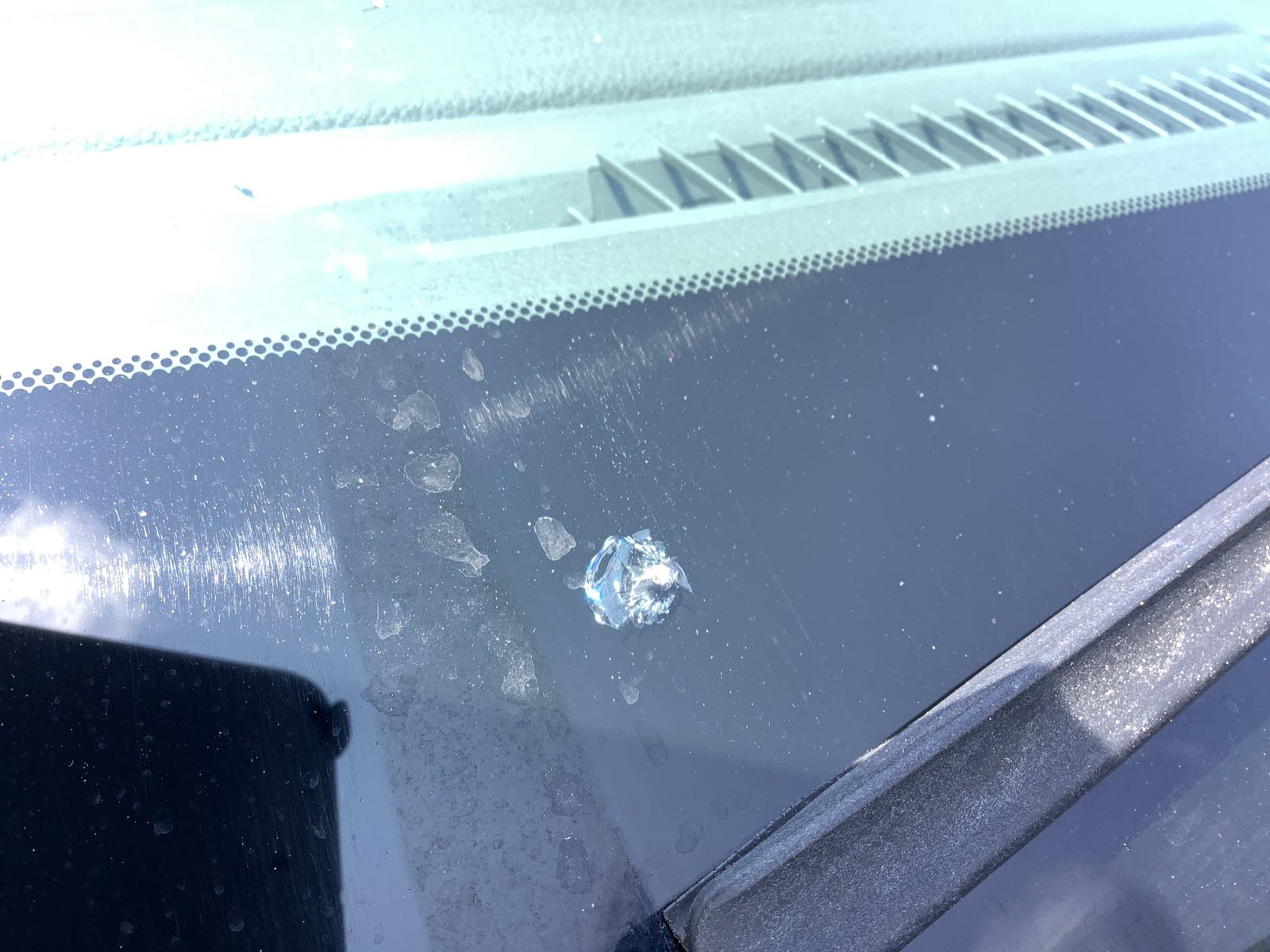 LF Fender Liner (Missing)