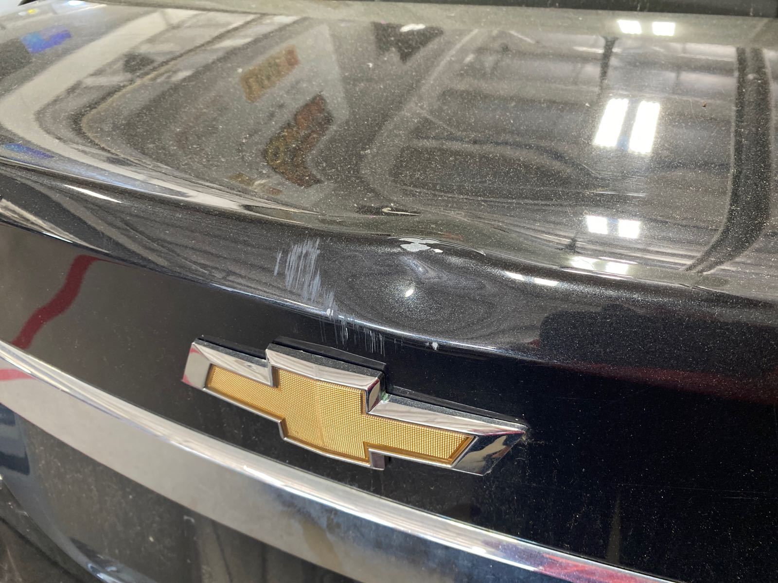 L Qtr Panel (Dent/Paint Dmg)