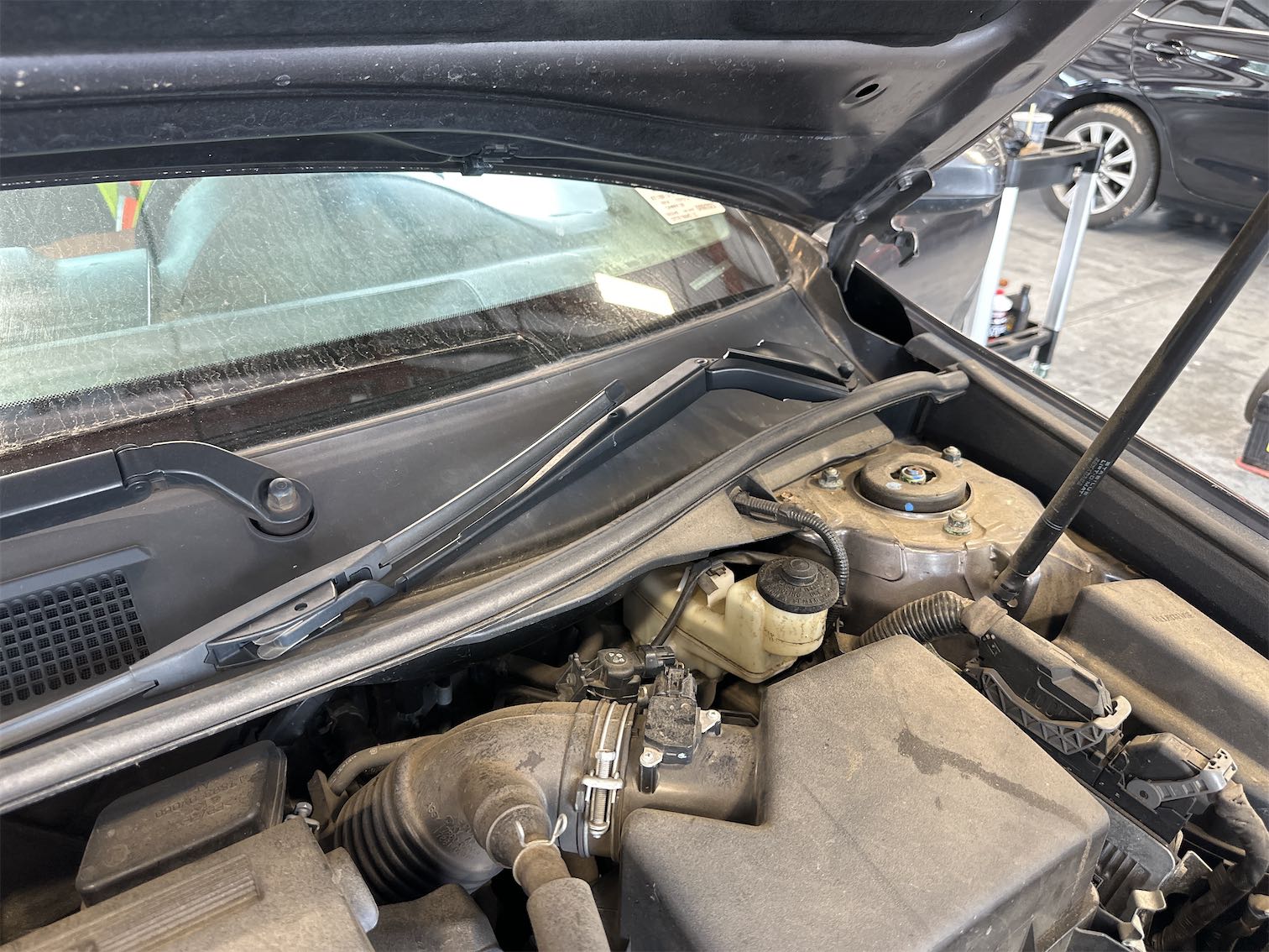 RF Door Handle Cap (Missing)