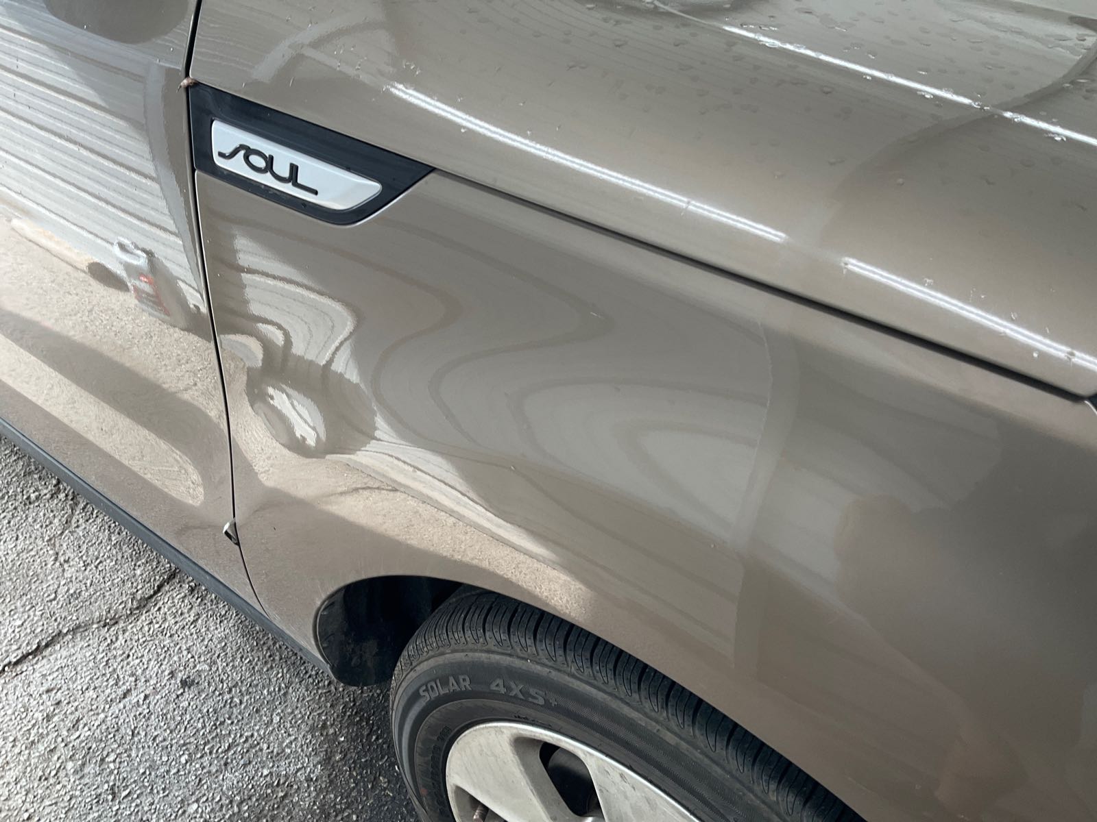 RR Door (Dent/Paint Dmg)
