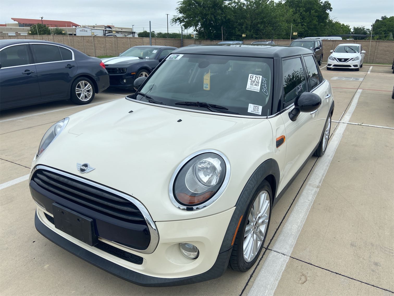 LEZ MINI ROAD DRIVE M BLACK main image 1