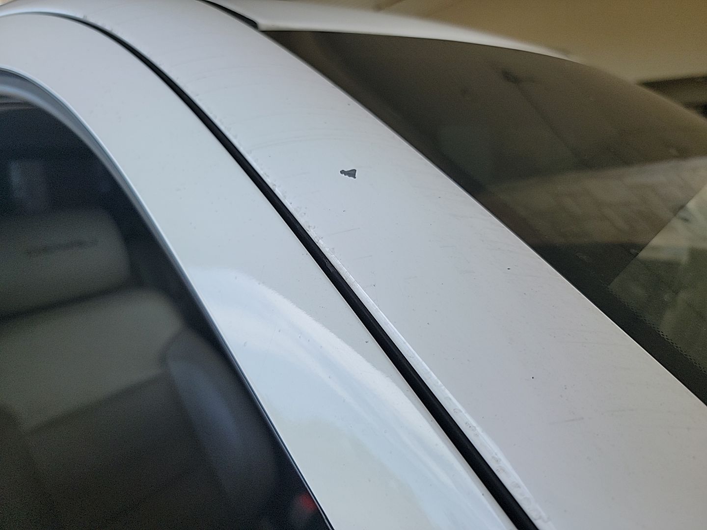 Roof (Mult Dents/No Paint Dmg)