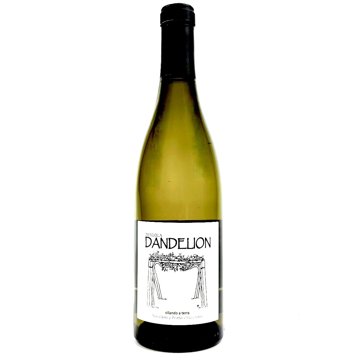 photo of bottle of 2022 Nanclares Y Prieto Dandelion Albarino Rias Baixas